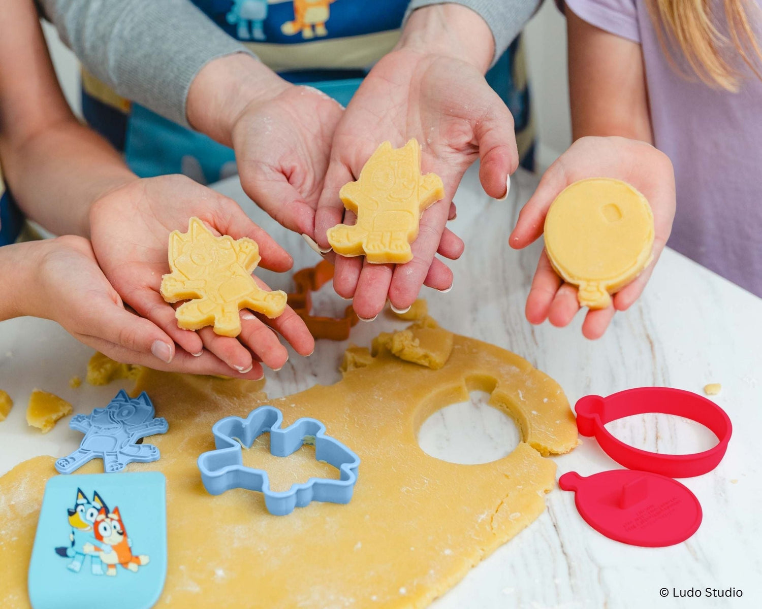Bluey Cookie Baking Set Recipes