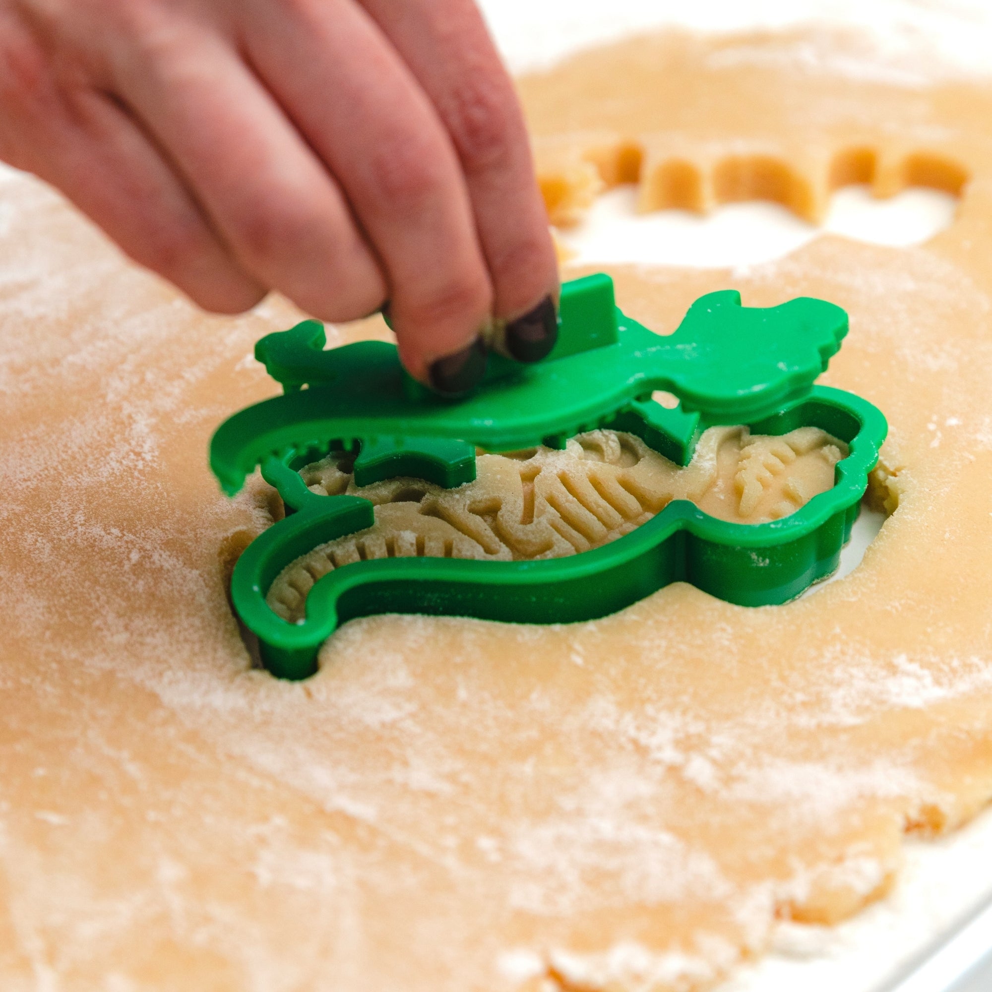 Fossil Fun Cookie Stamps – Set of 3