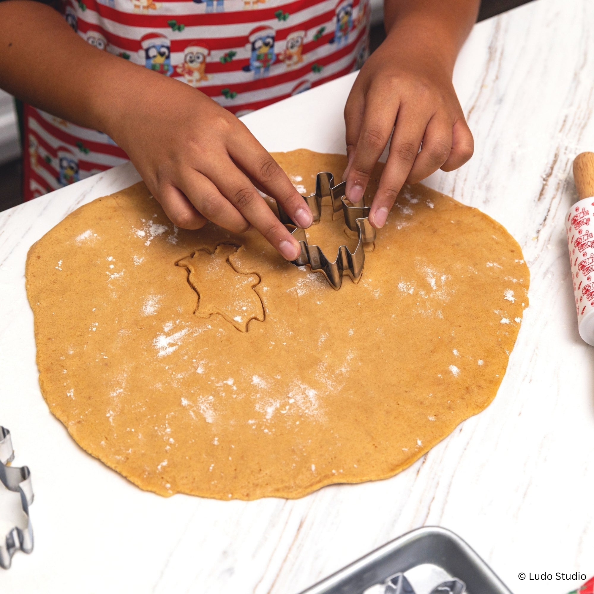 BLUEY Holiday Cookie Cutters – Set of 10