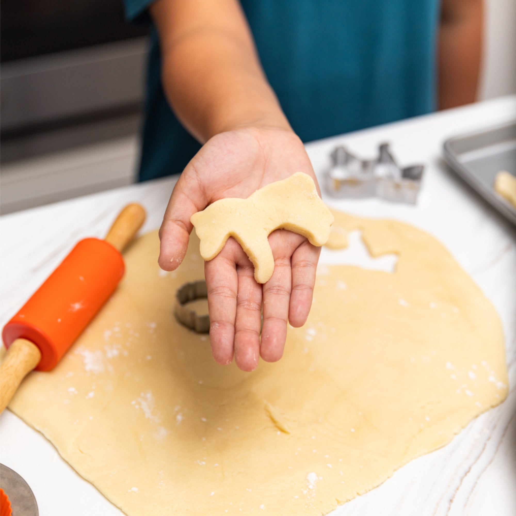 Farm Friends Intro to Baking