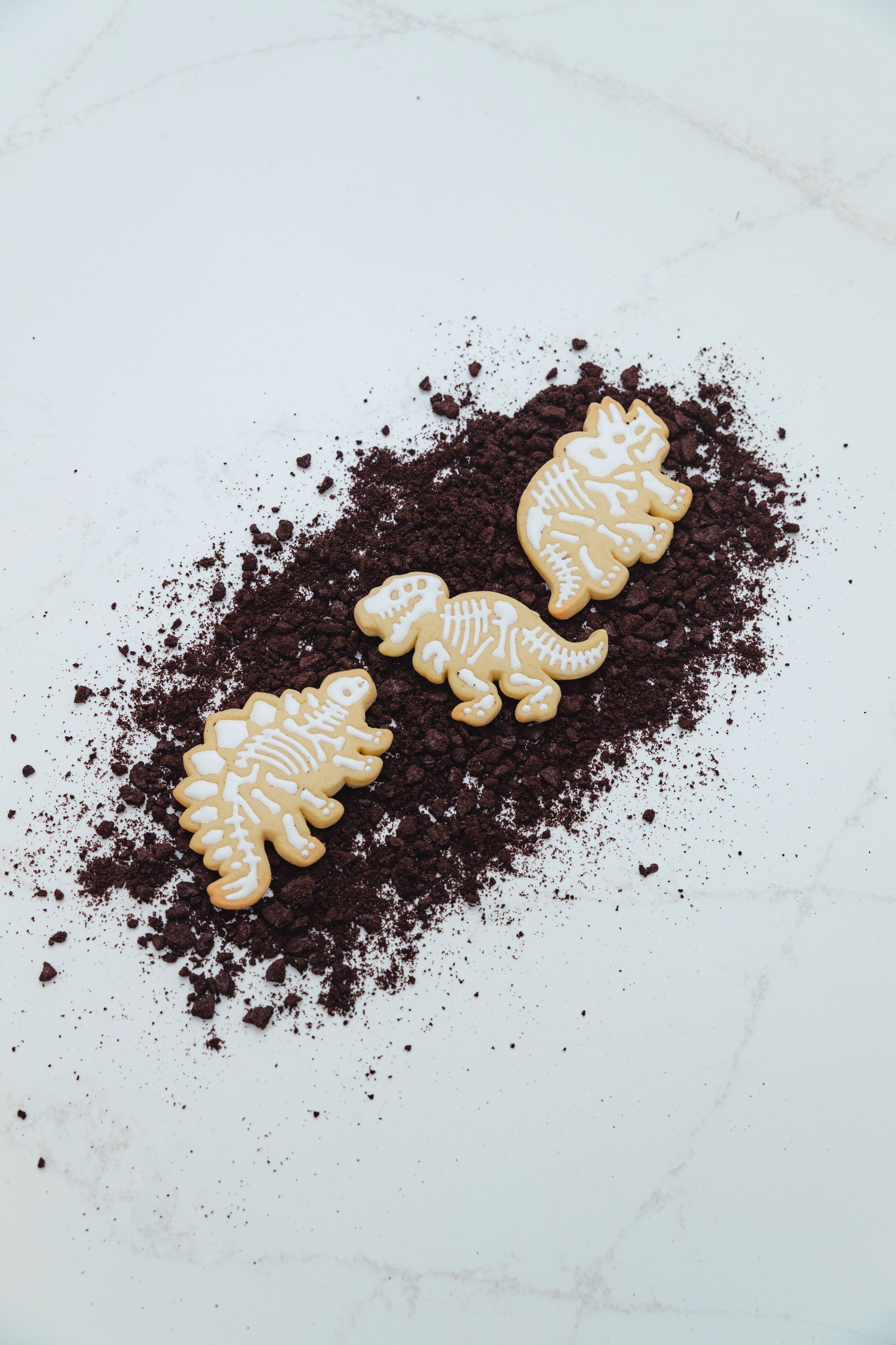 Fossil Fun Cookie Stamps – Set of 3