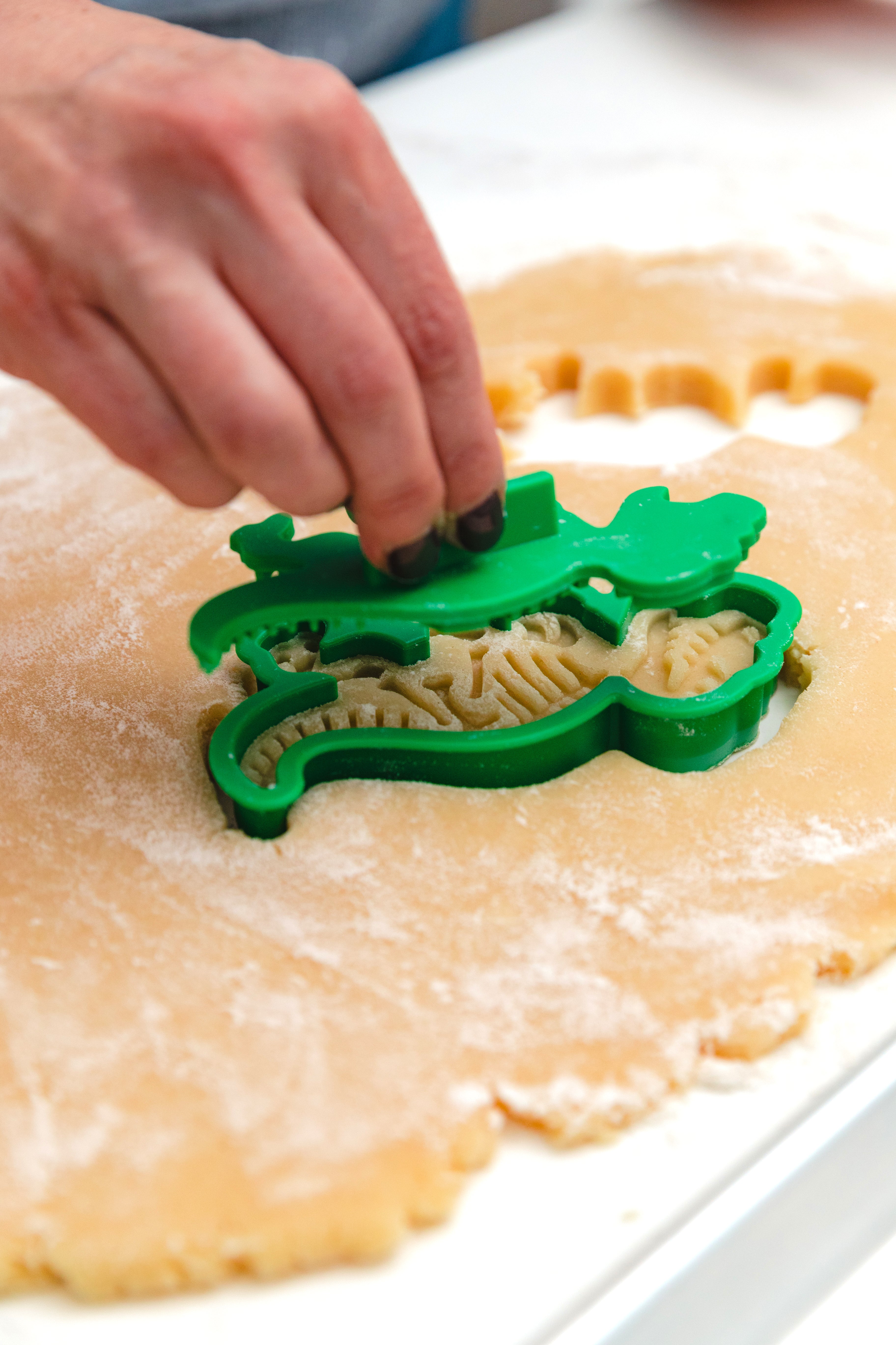 Fossil Fun Cookie Stamps – Set of 3