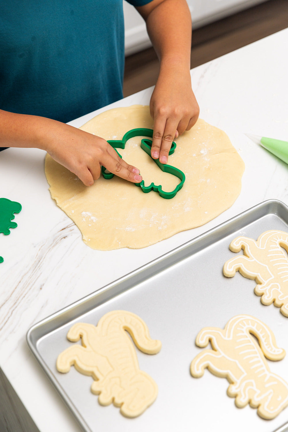 Press-O-Saurus Cookie Stamp and Cutter