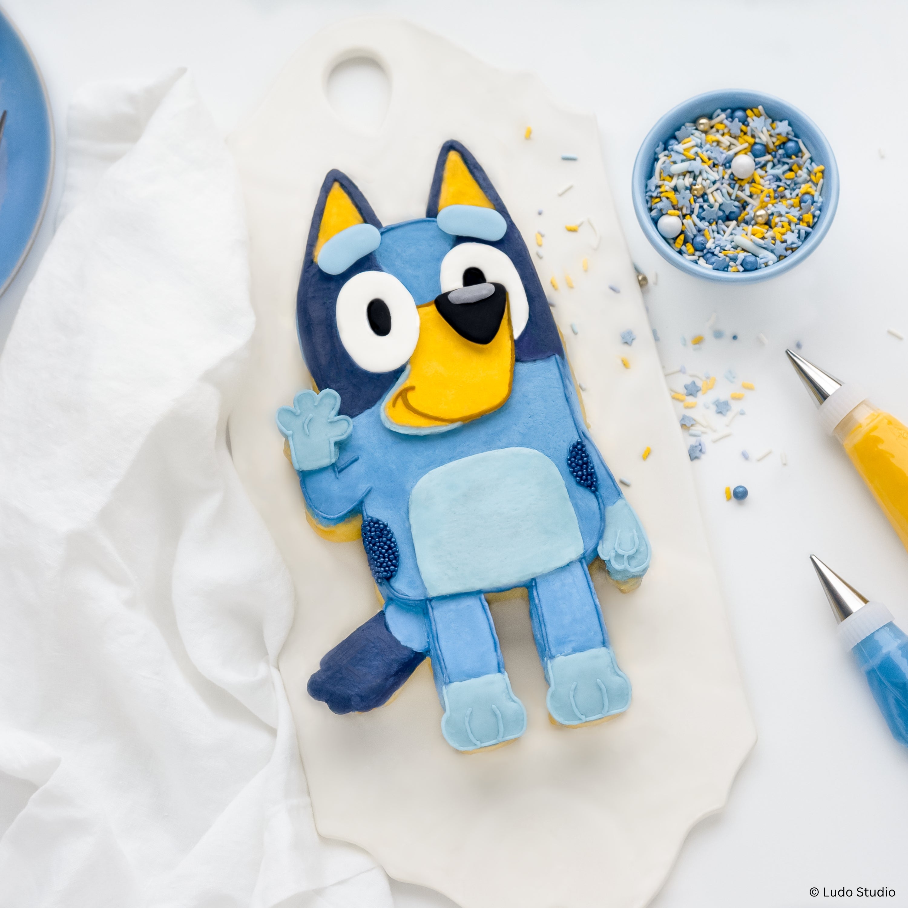 Bluey Cake Mold Recipes