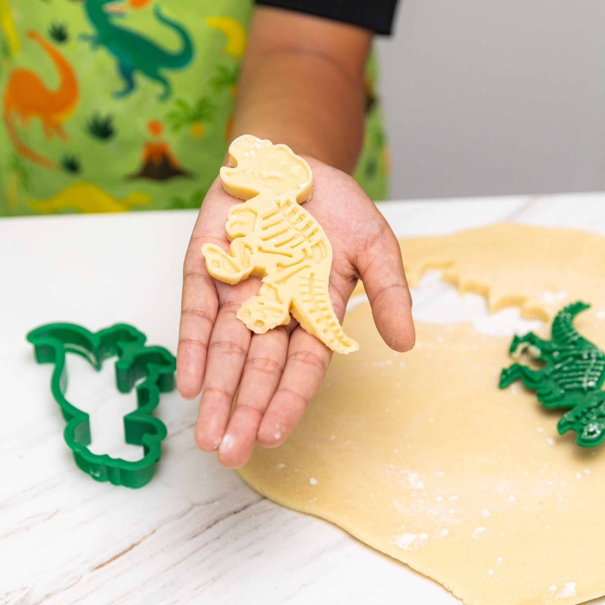 Dinosaur Cookie Stamps Set of 3 - T-Rex, Stegosaurus and