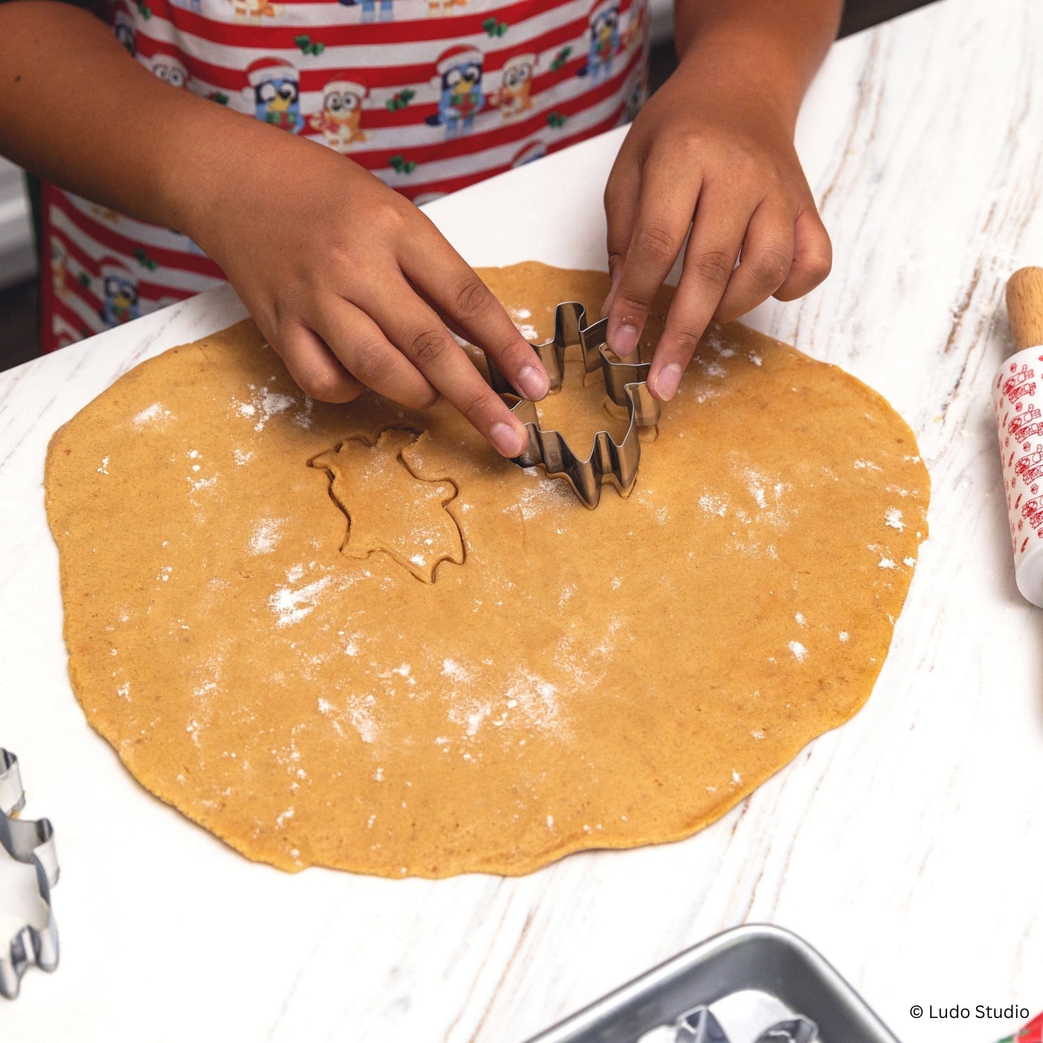 Bluey Holiday Cookie Cutters – Set of 10