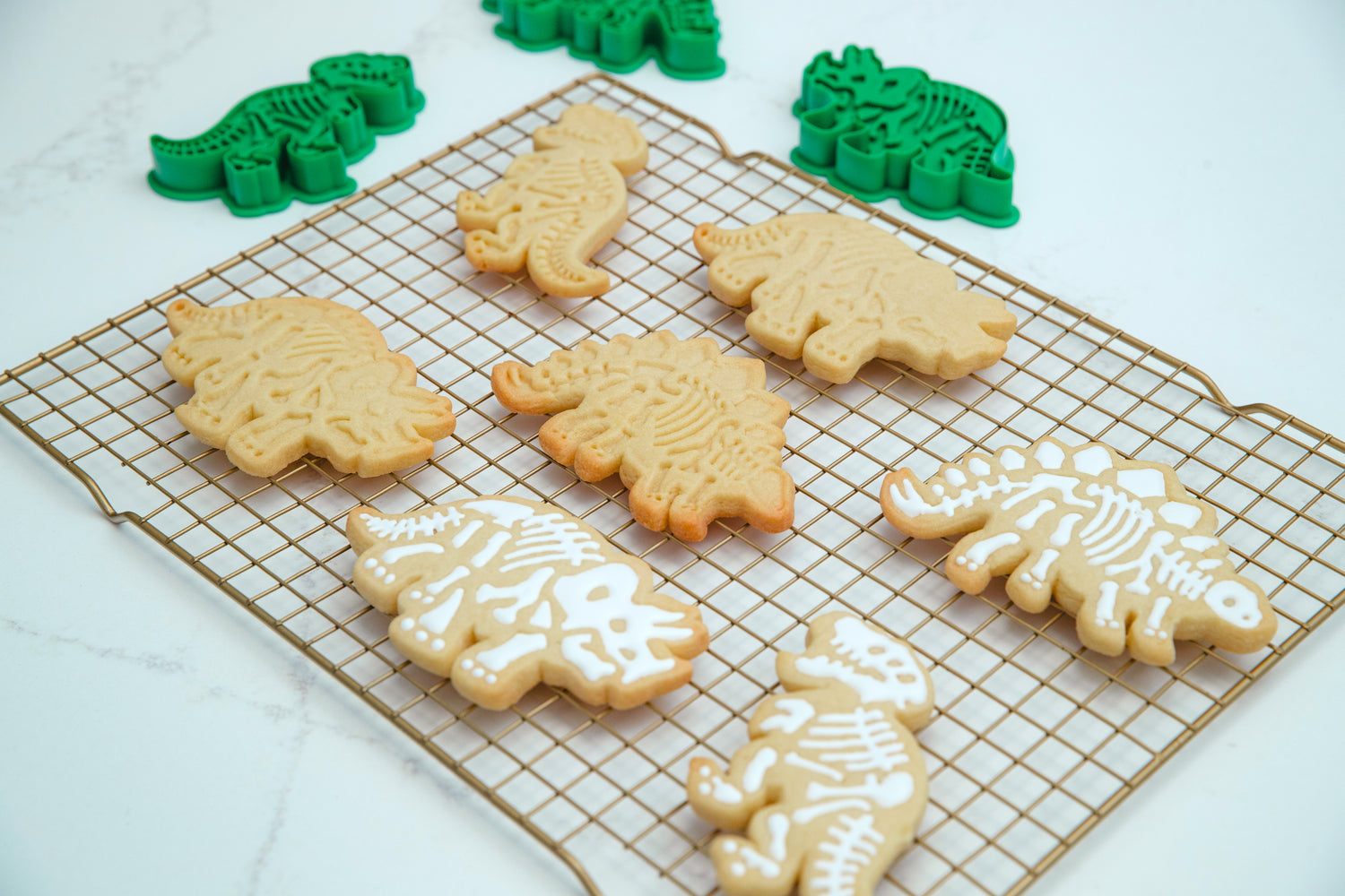 Fossil Fun Cookie Stamps – Set of 3
