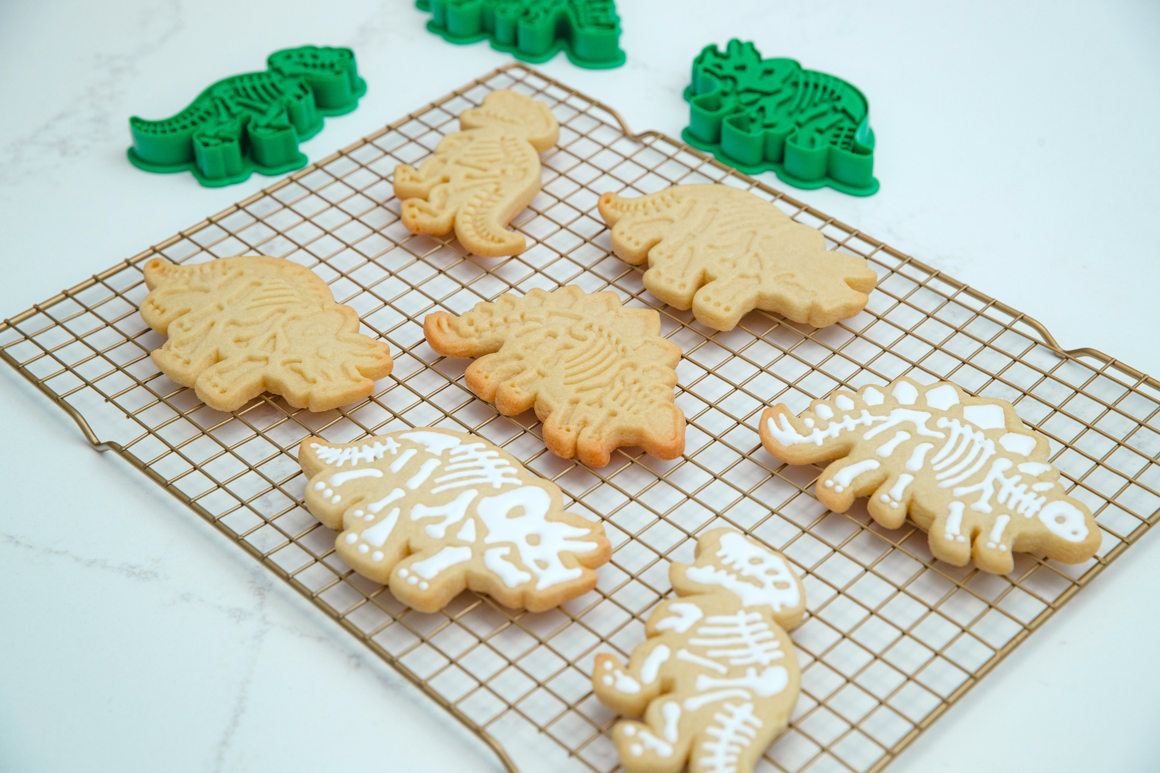 Fossil Fun Cookie Stamps – Set of 3