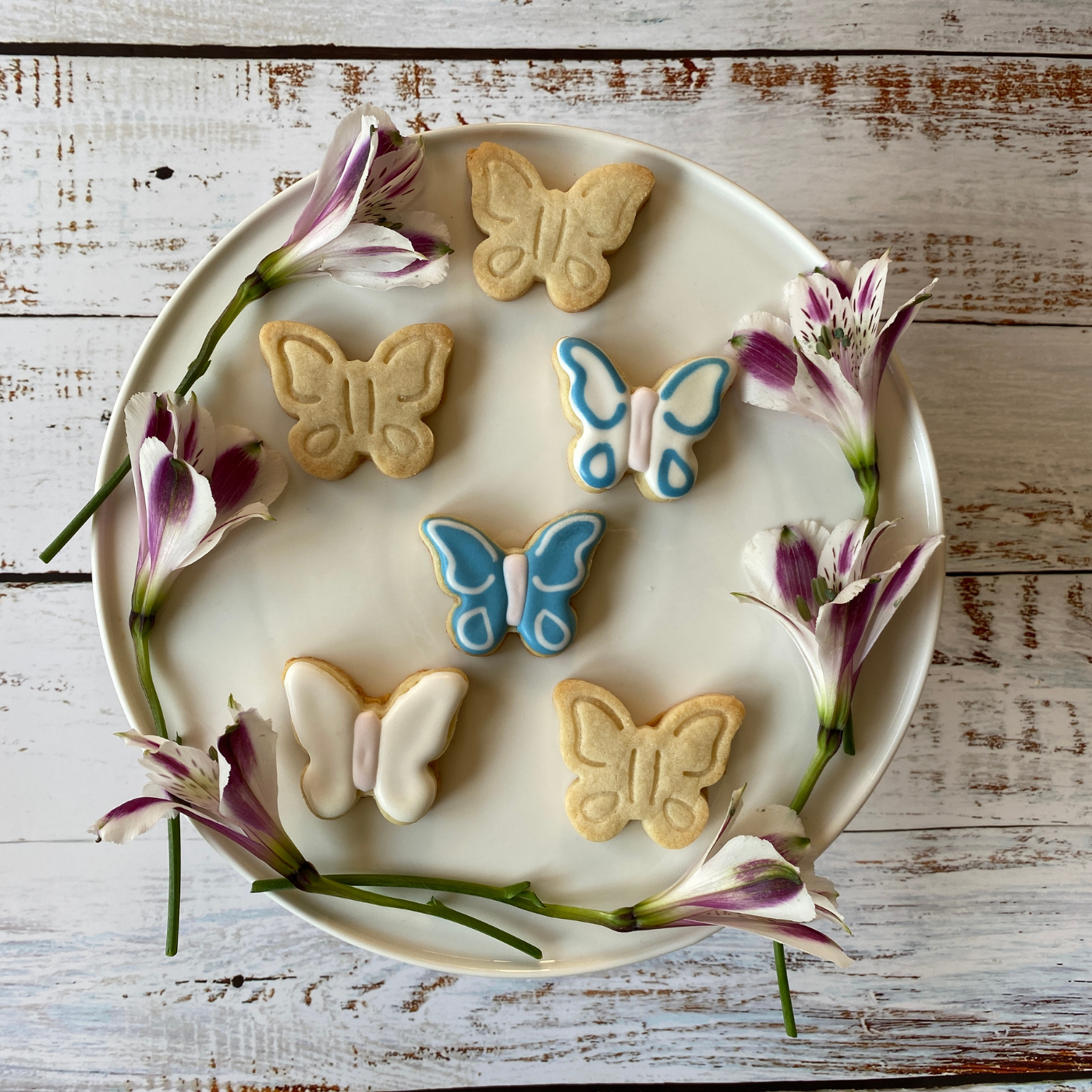 Lifestyle image of cut out butterfly cookies  Edit alt text